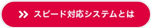 スピード対応システムとは